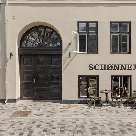 220sqm Designer - Center - Private Balcony Lejlighed København